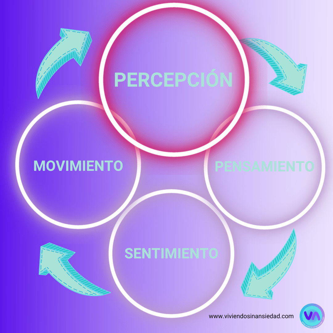 4 componentes acción Feldenkrais. Percepcion, pensamiento, sentimiento, movimiento.